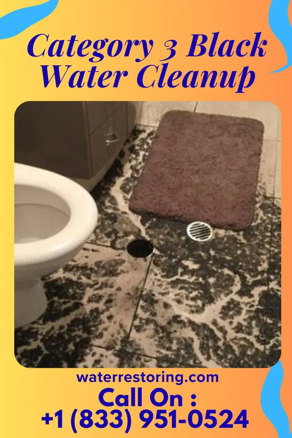 Category 3 Black Water Cleanup in Oneonta, AL