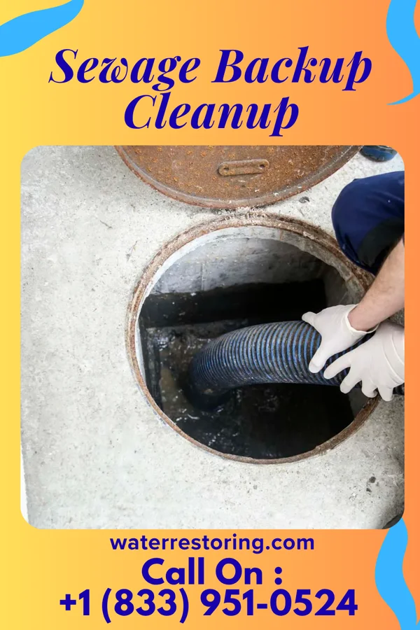 Sewage Backup Cleanup in Oneonta, AL